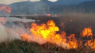  آتش‌سوزی گسترده در نیزارهای رودشور پرند