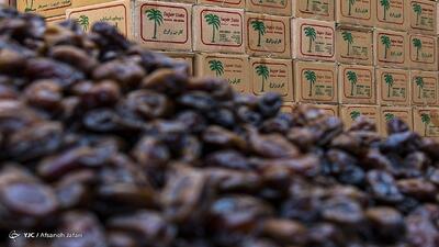  قیمت هرکیلو خرمای مضافتی بم به ۳۱۰ هزارتومان رسید