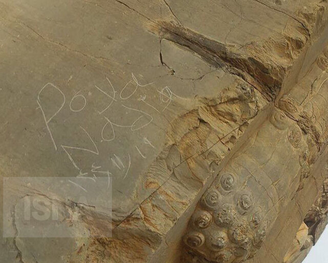 یادگارنویسی تازه در تخت جمشید؛ وندال‌ها چگونه به دروازه ملل رسیدند؟