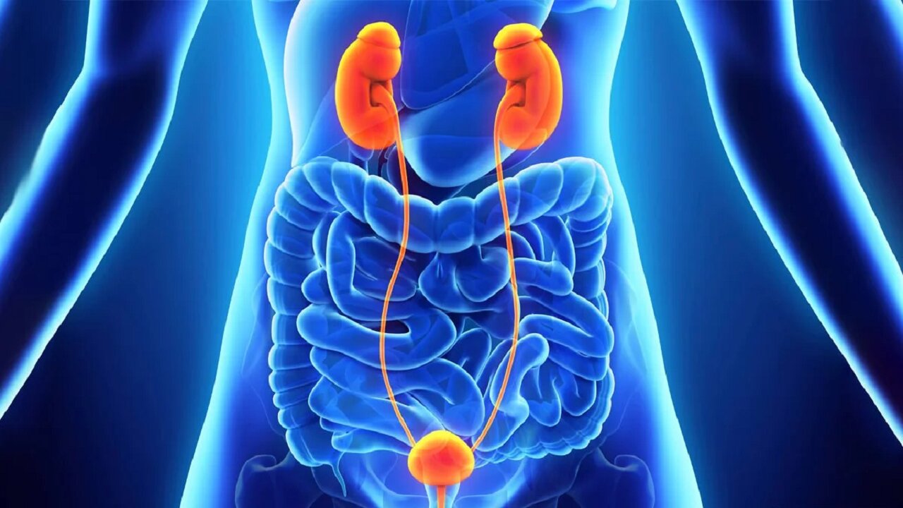سکته قلبی شایع‌ترین عامل مرگ در مردان/ سیگار خطر ابتلا به سرطان را افزایش می‌دهد